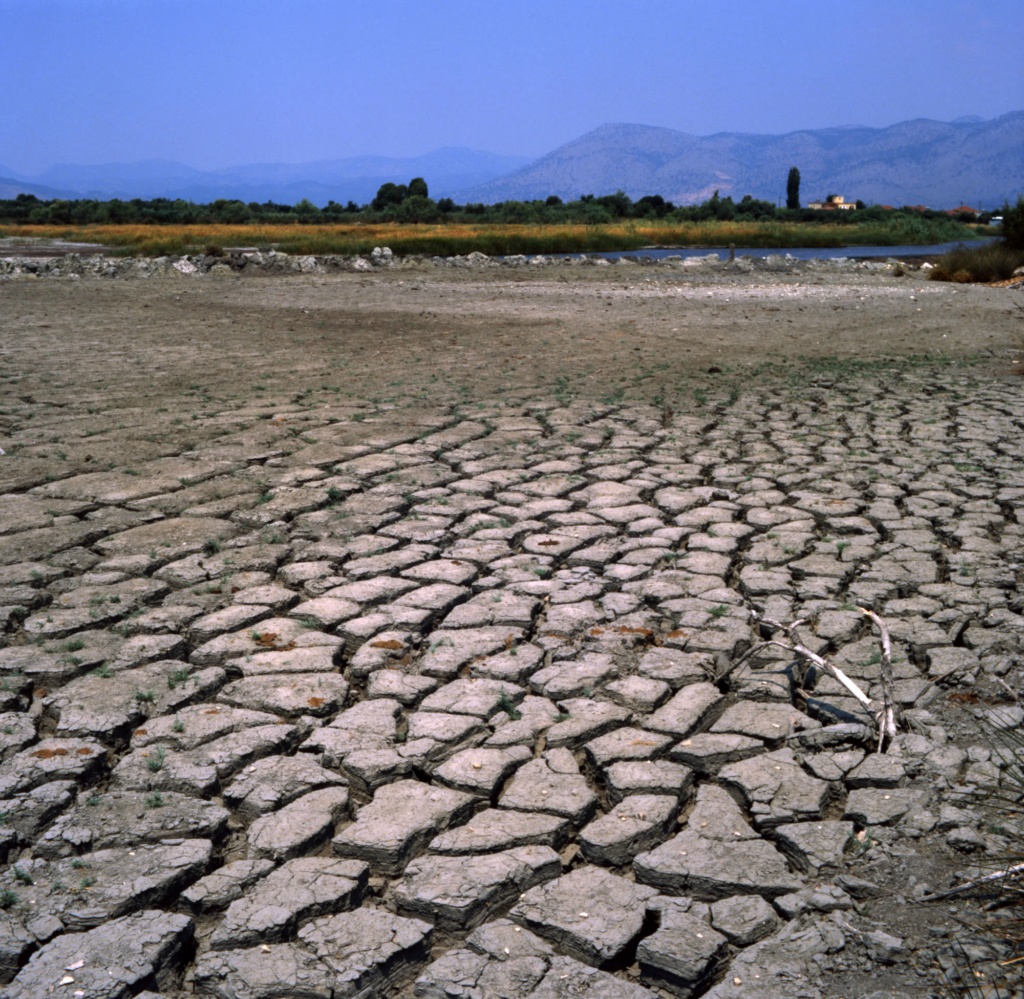 Ambrakikos color 2006